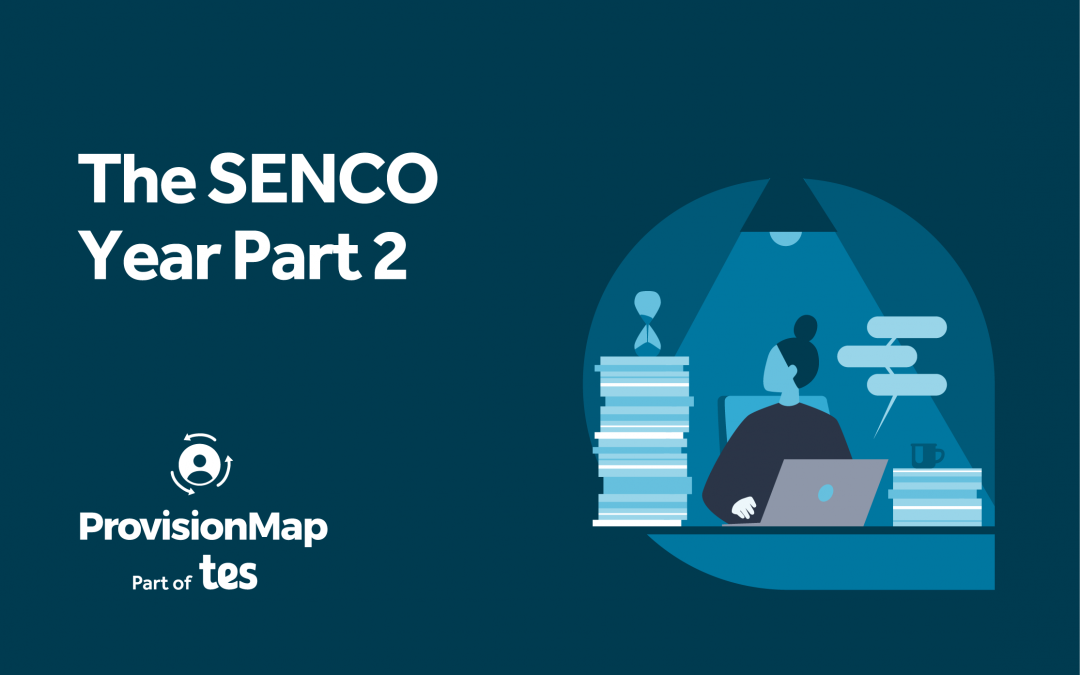 The SENCO Year Part 2: Using Tes  – Provision Map